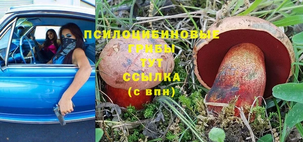 дмт Медвежьегорск