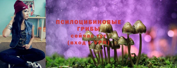дмт Медвежьегорск