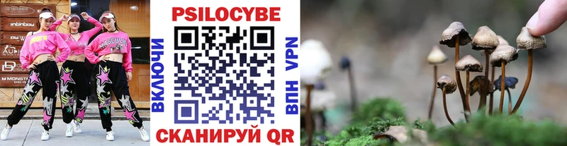 Псилоцибиновые грибы GOLDEN TEACHER  Нижний Тагил 